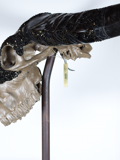 Skull Idirio